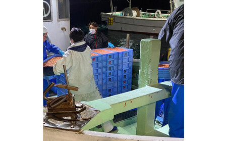 桜えび3種セット【配送不可：離島】