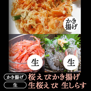 生桜えび、生しらす、桜えびかき揚げセット【配送不可：離島】 11,680円