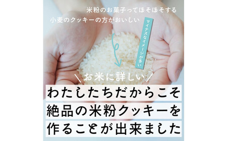 贅沢米粉のクッキー チョコチップ 600g(100g×6袋)