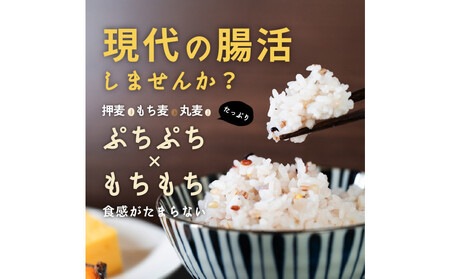 麦の恵み24穀米ブレンド 4kg(800g×5袋)
