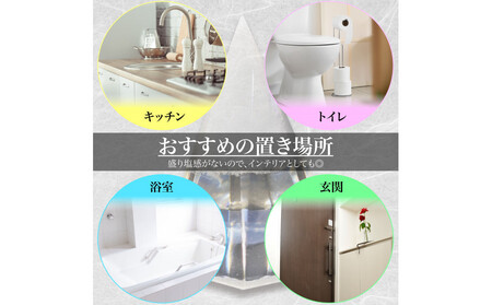 クリスタル盛り塩　＜カラー：レッド赤富士＞