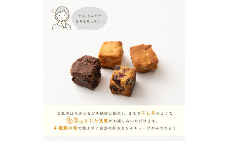 【ふるなびWEEK】ソイキューブ 4種ミックス 600g(100g×6袋)  FN-Limited-WE