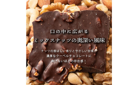 割れチョコミックスナッツ 360g(180g×2袋)