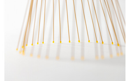 hounobi　セントエン 小