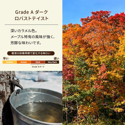 SNOOPY メープルシロップ