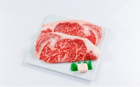 静岡するが牛 ステーキ用 500g（250g×2枚）【配送不可：離島】◇