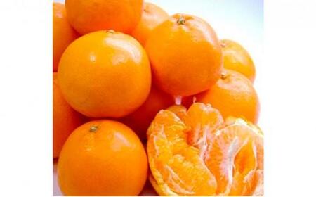 【2026年2月上旬より順次発送】静岡県清水生まれの美味しい柑橘「はるみ約2.5kg」【配送不可:離島】◆