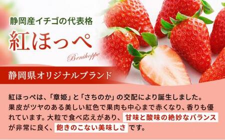 いちご ほっぺたが落ちる 紅ほっぺ 2パック 果物 イチゴ 苺 おやつ ギフト 贈答品 お祝い 5000円 プレゼント 国産 フルーツ くだもの