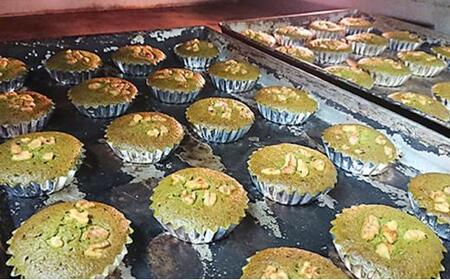 【風土菓 庵原屋】静岡お濃茶マドレーヌ 10個入り◆