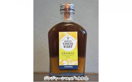 ジンジャーシロップ4種セット◇