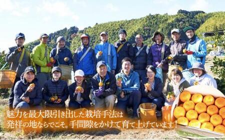 【2026年1月中旬より順次発送】青木農園 太田ポンカン 5kg【配送不可:離島】◇