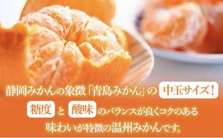 【2026年1月中旬より順次発送】青木農園 青島みかん 5kg【配送不可:離島】◇