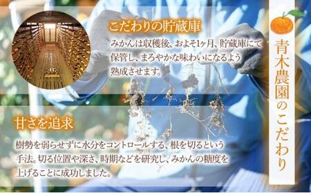 【2026年1月中旬より順次発送】青木農園 青島みかん 5kg【配送不可:離島】◇
