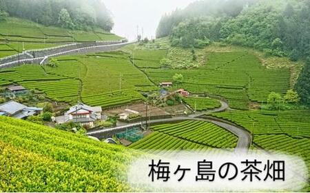 【静岡市内でも産地によって味が違う！】静岡市産煎茶3地区「新間・梅ヶ島・和田島」飲み比べセット◆