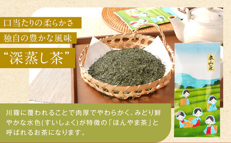 【特別寄付額：事業者支援】【茶娘の深むし茶】静岡市産深むし茶100g『10+1本』+1本合計1.2kg 大容量◆無添加 小分け お茶 ブランド 静岡茶 大容量 静岡県産 カテキン 家庭用 静岡県 深蒸し茶