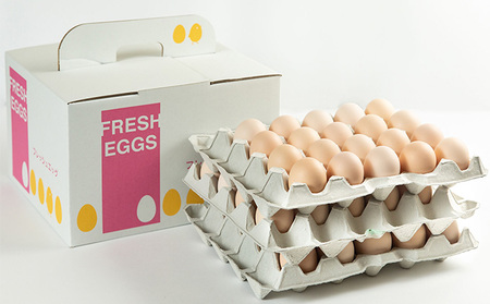 美黄卵さくら 60個（55個＋破損保障5個）（化粧ケース入り）【配送不可：沖縄・離島】鶏卵 たまご