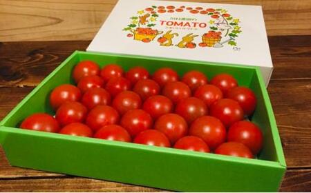 【静岡・三保松原の完熟トマト】甘さと旨味がたっぷり！フルーティーな中玉トマト（アミノレッド）1kg 約30～35玉入　川村農園■