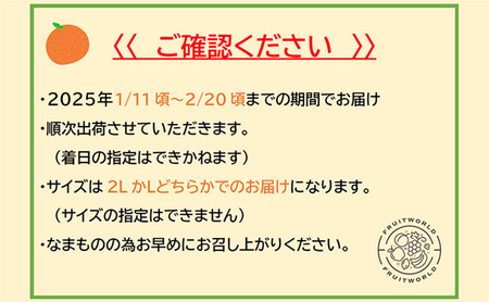 三ヶ日みかん 青島 3kg L又は2L 1月中旬より順次発送 みかん ミカン 蜜柑 青島みかん 三ヶ日 果物 くだもの フルーツ 旬の果物 旬のフルーツ 柑橘 柑橘類 糖度 静岡 静岡県 浜松市