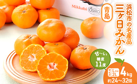三ヶ日みかん 青島 4kg L又は2L 1月中旬より順次発送 みかん ミカン 蜜柑 青島みかん 三ヶ日 果物 くだもの フルーツ 旬の果物 旬のフルーツ 柑橘 柑橘類 糖度 静岡 静岡県 浜松市