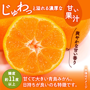 三ヶ日みかん 青島 4kg L又は2L 1月中旬より順次発送 みかん ミカン 蜜柑 青島みかん 三ヶ日 果物 くだもの フルーツ 旬の果物 旬のフルーツ 柑橘 柑橘類 糖度 静岡 静岡県 浜松市