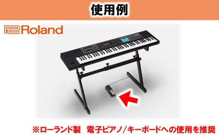 【Roland】電子ピアノ用ダンパーペダル/DP-10【配送不可：離島】