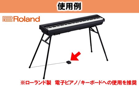 【Roland】電子ピアノ用ペダルスイッチ/DP-2【配送不可：離島】
