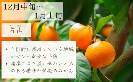 【2025年10月以降順次発送】日下みかん サイズ混合 2S~2L 5kg 秀品 果物類 柑橘類 フルーツ 農薬 有機肥料 光センサー 高品質 おいしい