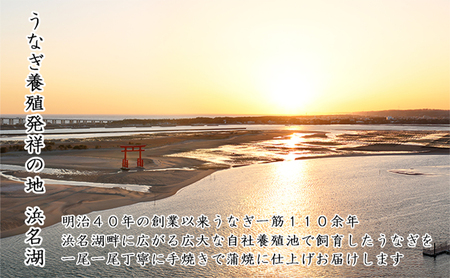 浜名湖うなぎ蒲焼(小丼用)計620g 【訳あり】サイズ不揃い12~15袋 加工品 養殖 老舗 手焼き 百貨店 ギフト カット 湯せん レンジ 美味しい 冷凍 食べきり 便利 簡単 調理