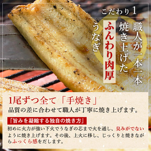 食べきりサイズ 【ITI優秀味覚賞受賞】 うなぎ長白焼2尾セット【配送不可:離島】 蒲焼 鰻 真空パック 二段階遠赤ふっくら焼き オリジナル無添加たれ付 【2026年1月15日以降順次発送】