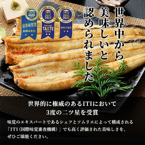 食べきりサイズ 【ITI優秀味覚賞受賞】 うなぎ長白焼4尾セット【配送不可：離島】 鰻 真空パック 二段階遠赤ふっくら焼き オリジナル無添加たれ付 【2026年1月15日以降順次発送】