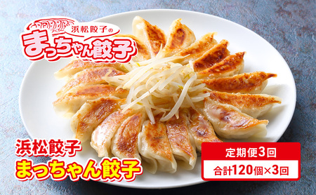 【定期便3回】浜松餃子のまっちゃん餃子まっちゃん餃子40ヶ入り×3袋　計120ヶセット【配送不可：沖縄県・離島】 惣菜 冷凍生餃子 冷凍餃子 おかず つまみ