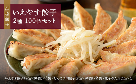 「浜松餃子」いえやす餃子 2種 100個セット【配送不可：離島】 惣菜 冷凍 冷凍餃子 食べ比べ あっさり 肉餃子 ジューシー おかず つまみ 