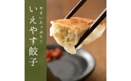 「浜松餃子」いえやす餃子 2種 100個セット【配送不可：離島】 惣菜 冷凍 冷凍餃子 食べ比べ あっさり 肉餃子 ジューシー おかず つまみ 