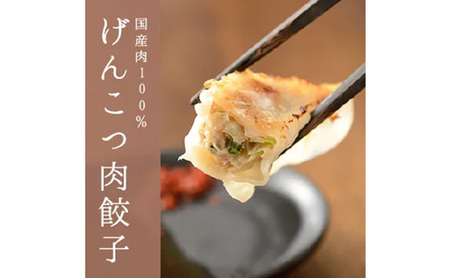 「浜松餃子」いえやす餃子 2種 100個セット【配送不可：離島】 惣菜 冷凍 冷凍餃子 食べ比べ あっさり 肉餃子 ジューシー おかず つまみ 