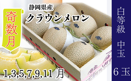 【奇数月6ヶ月定期便】クラウンメロン並【白等級】1.3kg前後 6玉入り
