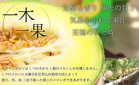 【奇数月 定期便】クラウンメロン並【白等級】1.3kg前後　2玉入り 