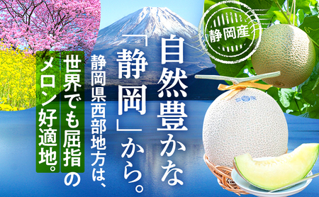 クラウンメロン 白等級 1.1kg前後 1玉入り 果物類 メロン青肉