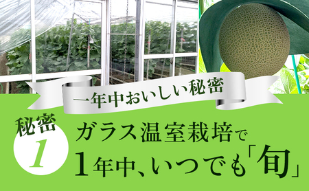【3ヶ月定期便】クラウンメロン 白等級 1.1kg前後 1玉入り 