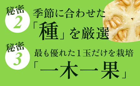 【3ヶ月定期便】クラウンメロン 白等級 1.1kg前後 1玉入り 