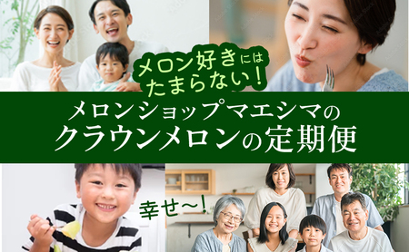【偶数月6ヶ月定期便】クラウンメロン 白等級 1.1kg前後 1玉入り