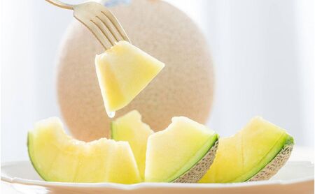 【12ヶ月定期便】クラウンメロン並【白等級】1.4kg前後　1玉入り 