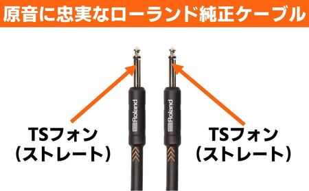 【Roland純正】楽器ケーブル 1m/RIC-B3【配送不可:離島】