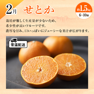 【2026年2月上旬より発送】浜松市の柑橘定期便 3回（2月～4月）せとか・不知火・グレープフルーツ