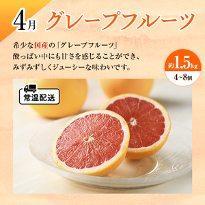 【2026年2月上旬より発送】浜松市の柑橘定期便 3回（2月～4月）せとか・不知火・グレープフルーツ