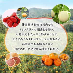 【2026年2月上旬より発送】浜松市の柑橘定期便 3回（2月～4月）せとか・不知火・グレープフルーツ