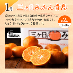 【2026年1月中旬より発送】浜松市の柑橘定期便 4回(1月~4月)三ヶ日みかん青島・せとか・不知火・グレープフルーツ