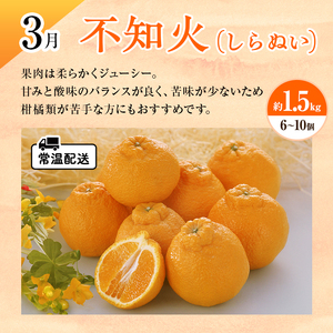 【2026年1月中旬より発送】浜松市の柑橘定期便 4回(1月~4月)三ヶ日みかん青島・せとか・不知火・グレープフルーツ