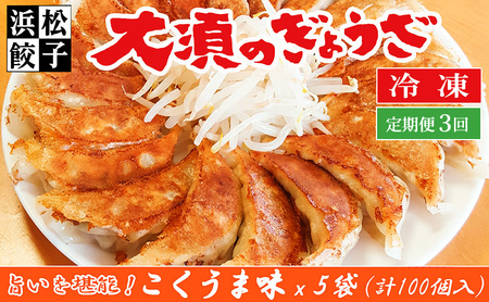 【定期便3回】浜松餃子 大須のぎょうざ［ 浜松ぎょうざ とまらぬコクと旨いを堪能！＜ こくうま味 ＞］× 5袋（1袋20個入、合計100個） 