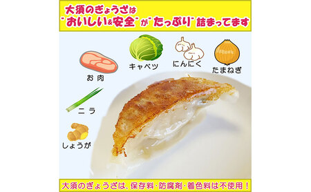 【定期便12回】浜松餃子 大須のぎょうざ［ 浜松ぎょうざ とまらぬコクと旨いを堪能！＜ こくうま味 ＞］× 5袋（1袋20個入、合計100個） 