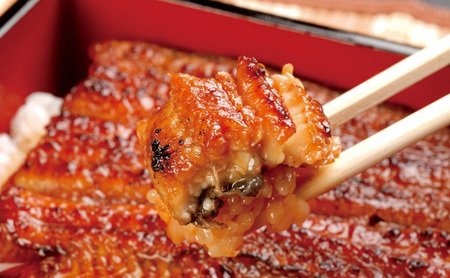 浜名湖鰻蒲焼 約110g 2本×6箱 国産 浜松 鰻 父の日 母の日 土用の丑の日 和食 秘伝のたれ 伝統 炭火ふっくら 柔らか 